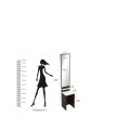 Dressing Table Full Length Mirror with Utility Shelf Dressing Mirror. 