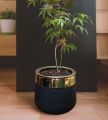 Plastic Planter, Olpe White Plant Pot with Golden Neck, White Plastic Flower Pot & Planter with Golden Border 2 sizes 5x5 and 9x10 inches. 