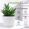 Fast Forward Small Decorative Flower Pots with Drainage - Plastic Planters for Indoor Plants, Flowers, Cactus, and Succulents Set of 2 different Size (without Plant). 