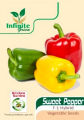 Bell Paper / sweet pepper / Colored capsicum. 