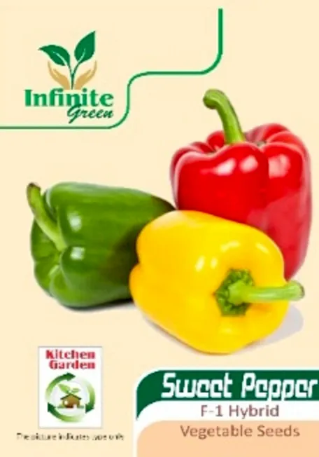Bell%20Paper%20/%20sweet%20pepper%20/%20Colored%20capsicum%20-%20Image%203