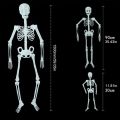 HA Halloween Decoration Halloween Props Luminous Fluorescent Skeleton. 