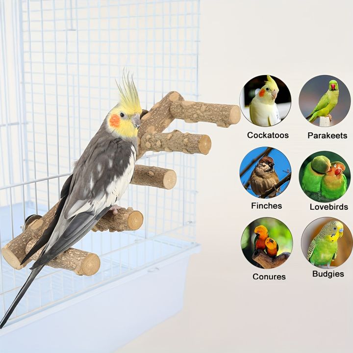 Chilli Ladder Natural Chili Wood Bird Climbing ladder with Perch - Tall climbing tree ...