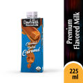 Pack of 12 Dayfresh Chocolate Salted Caramel Flavored Milk 225ml. 