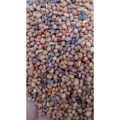 Taramira Seeds (Tukhme Taramira) - 1 Kg. 