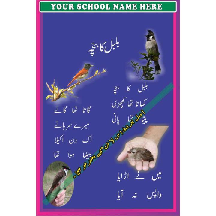BulBul ka Bacha Poem Urdu P01 - Board and Chart Graphics Flex sheet Panaflex Penaflex pana pena flex for Learning Education and Decoration of Class Room of School and College with customise Your School and Teacher Name