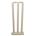 Cricket Plastic Wicket Sets with Bails for Game Cricket Bat and Ball. 