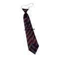 The City School Primary Boys Uniform Elastic Tie Gray & Maroon Lining Uniform Tie. 