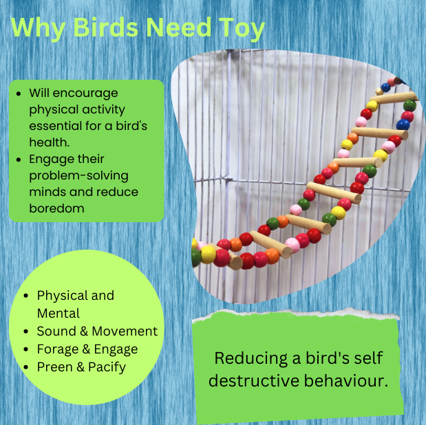 Birds%20Toy%20Perch%20Hanging%20Swings,%20Bird%20Ladder%20Swing,%20Parrot%20Toy,%20Pet%20Bird%20Jhoola,%20Australian%20Bird%20Toy,%20Bird%20Climbing%20Toy,Toy%20for%20Love%20Bird,%20Canary,%20Budgies,%20Cockatiel,%20Parakeet,%20Small%20and%20Medium%20size%20birds%20-%20Image%204