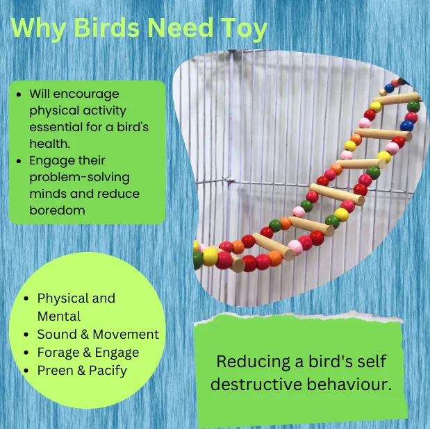 Birds%20Toy%20Perch%20Hanging%20Swings,%20Bird%20Ladder%20Swing,%20Parrot%20Toy,%20Pet%20Bird%20Jhoola,%20Australian%20Bird%20Toy,%20Bird%20Climbing%20Toy,Toy%20for%20Love%20Bird,%20Canary,%20Budgies,%20Cockatiel,%20Parakeet,%20Small%20and%20Medium%20size%20birds%20-%20Image%204