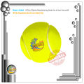 Cricket Tape Ball | Tennis Ball. 
