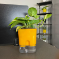Self-Watering Pots for Indoor & Outdoor Plants – Elegant Square Shape Self-Watering Planter | Efficient Self Watering System for Plants | Ideal Self Watering Pots (without Plant) | Home Decor | Office Decor | Best watering Pot | 15 days water circle UMBIZ. 