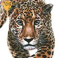 Heat Transfer Iron on Patch Vibrant Animal Heat Transfer Stickers for Clothes Bags Hats Colorfast Realistic Iron-on Decals for Stylish Southeast Asian Fashion Heat Transfer Paper. 