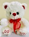 Imported Cute White Teddy Bear Soft Stuffed Plush Toy For Kids. 