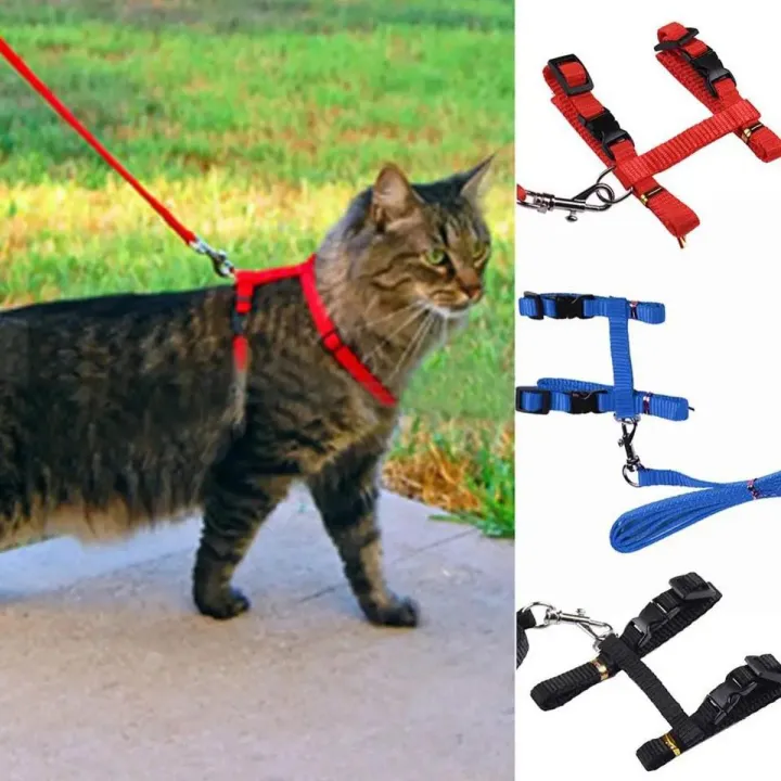 Cat%20Collar%20+%20Chain%20For%20Cats%20-%20Image%202