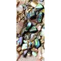 10 g Natural Crushed mini abalone shells Mother of pearl shell for resin art. 