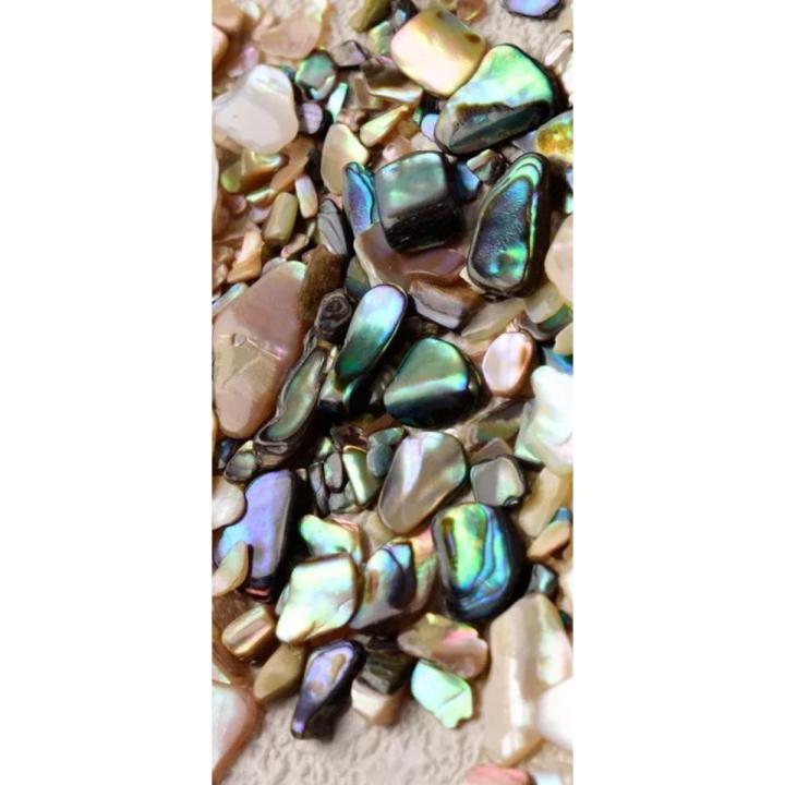 10 g Natural Crushed mini abalone shells Mother of pearl shell for resin art