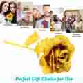 Gold Rose Flower Foil Plated Plastic Artificial Roses Valentines Day Gift Beauty Golden Flowers For Home Wedding Decoration 1Pcs. 