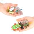 Life Cycle Figurines Toy Dragonfly Figures Red Eyed Tree Frog Figures for Desktop Decoration. 
