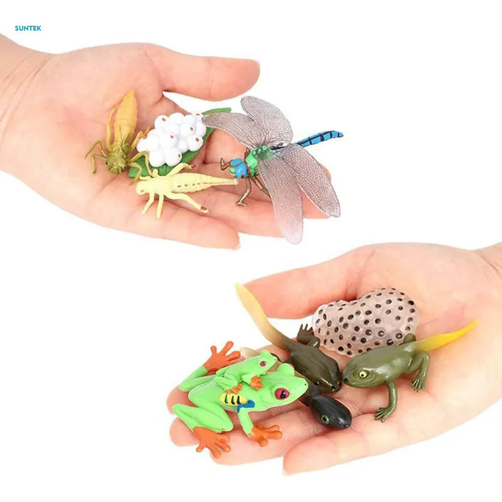 Life%20Cycle%20Figurines%20Toy%20Dragonfly%20Figures%20Red%20Eyed%20Tree%20Frog%20Figures%20for%20Desktop%20Decoration%20-%20Image%203