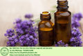 Tea Tree Oil Organic Australian Essential oil in Pakistan. 