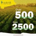 Organic Khapli Wheat Atta 1 Kg Wheat Flour. 