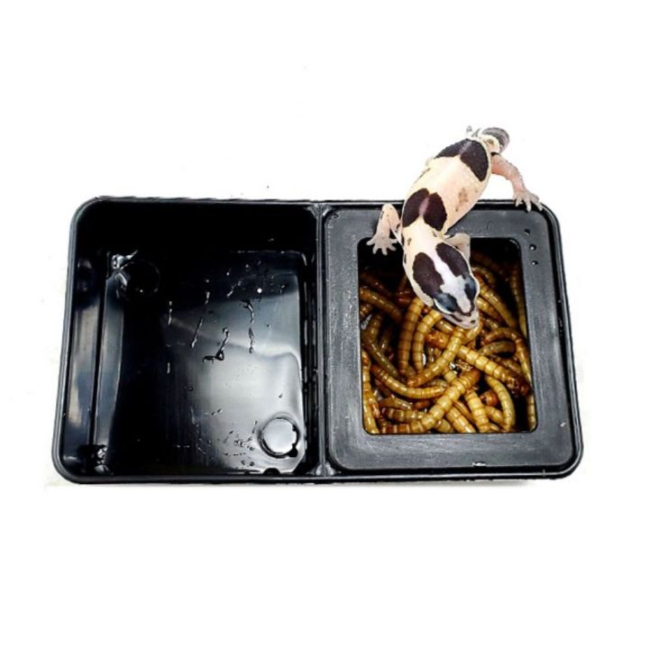 Photo inspiration: Picture Idea: Reptile Black White Plastic Breeding Feeders Box Plastic Anti Escape