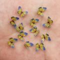 3D Colorful Glitter Mini Wheel Butterfly Nail Art AB Miniature Pattern Applique DIY Manicure Rhinestone Scrapbook Decor Craft. 