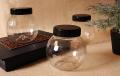 DIAMOND DESIGN - 62 Mm Mouth Storage Jar 500ML (WATER) - DIAMOND STYLE Pet Plastic - Transparent in Pakistan. 