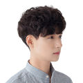 Japanese Style Short Curly Wig for Men Soft Breathable Not Hurt Hair Odorless Wig for Men Boys Daily Hair Style. 