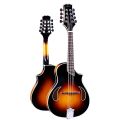HI VOLTS Mandolin Amos. 