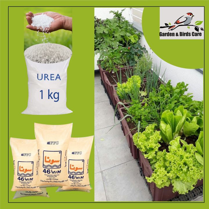 UREA (Nitrogen Fertilizer) High Quality Water Soluble for Plant Lovers & Gardeners