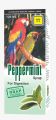 Peppermint Syrup - Herbal Digestive Aid | Relieves Indigestion & Promotes Healthy Digestion - 120ml". 