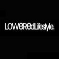 Auto Car Decal Winshield Lowered Lifestyle Pattern Banner Vinyl Sticker Decor. 