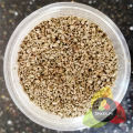 Premium Carom Seeds (Ajwain) 140g – 100% Pure & Bold Ajowan Caraway – Traditional Aromatic Spice for Cooking. 
