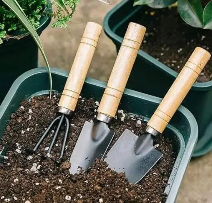 Pack%20of%203%20Gardening%20tool%20set%20Wooden%20Handle%20,%20Set%20of%203%20Piece%20Garden%20Tool%20set,%20Gardening%20Tools,%20extremely%20High%20Quality%203pcs%20/%20set%20Mini%20Garden%20Tools%20Wood%20Handle%20Stainless%20Steel%20Potted%20Shovel%20Rake%20Spade%20for%20Flowers%20Potted%20Plant%20-%20Image%204