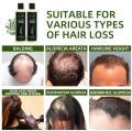 Tgideas Organic Rosemary Hair Growth Shampoo for Women and Men-Natural Thickening & Strengthening Shampoo with Hydrolyzed Keratin for Thinning Hair & Hair Loss 7.4 fl.oz. 