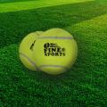1 Fine Sports High Quality Tennis Rubber Ball For Street Cricket. 