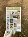 Light Green Aesthetic Journaling Sticker Sheet |uncut Stickers Sheet For Journaling | Journaling Stickers For All Purpose | Aesthetic Room Decor |  Book Stickers For Journal | Aesthetic Stickers For Boys And Girls | Stickers Aesthetic. 