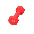 2 KG one Matte Coated Dumbbell Yoga Fitness Exercise Training Weights Red Color. 