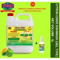 Purge Citron Cider Dishwashing Liquid 5L (Gel Type) - Antibacterial Dish wash - Kitchen Surface Cleaner - Foam Cleaner. 
