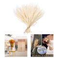 100 Stems Dried Wheat Stalks, Natural Dried Wheat Sheaves Fall Flower Arrangement Wheat Bouquet Bundle for DIY Home Table Wedding Xmas Decor. 