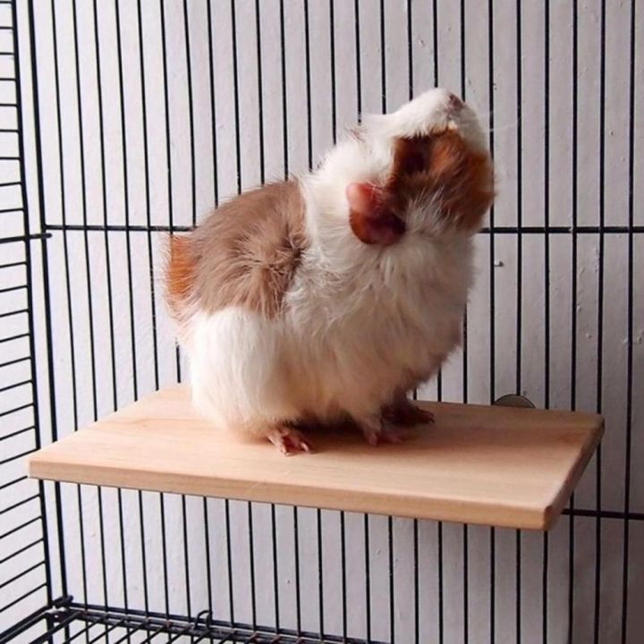 Squirrel Rack Ladder Squirrel Cockatiel Budgie Mice Wooden Toys Hamster Cage Pet ...