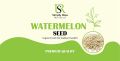 Watermelon Seeds for Eating, Kharbooj Magaz, Kharbhuja Beej [Magaj] 250g. 