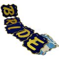 BRIDE TO BE VELVET BANNER (  9 WORDS BANNER WITH RIBBON ). 