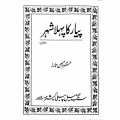 Pyar Ka Pehla Shehar Mustansar Hussain Tarar. 