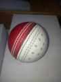 Leather Swinging Cricket Ball – Perfect for Swing Bowling Practice | swinging ball half leather and hole side ball | swing practice ball. 