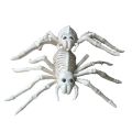 Lizard Horror Bat Party Mouse Home Animal Skeleton Artificial skull Trick Props Plastic Bones. 