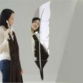 Silver Acrylic leaf mirror for wall decoration. 