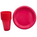 DARK PINK COLOR PLATES AND CUPS - PLASTIC PLATES AND CUPS - PACK OF 10. 